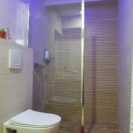 Borak Sarajevo